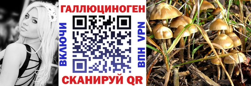 ОМГ ОМГ сайт  наркошоп  Павловск  Галлюциногенные грибы GOLDEN TEACHER 